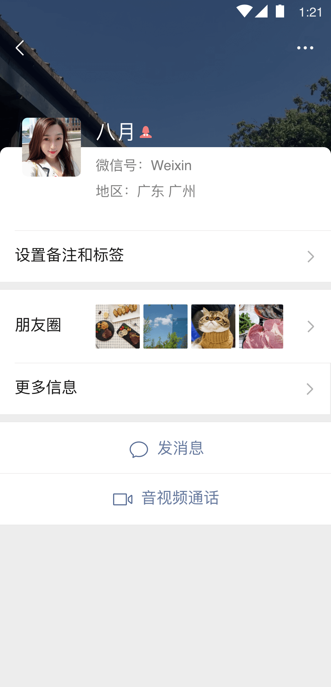 回忆那年夏天毕业季截图